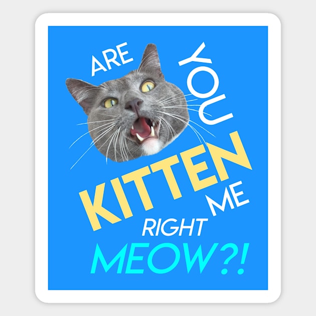 Are You Kitten Me Right Meow? Magnet by RogerTheCat